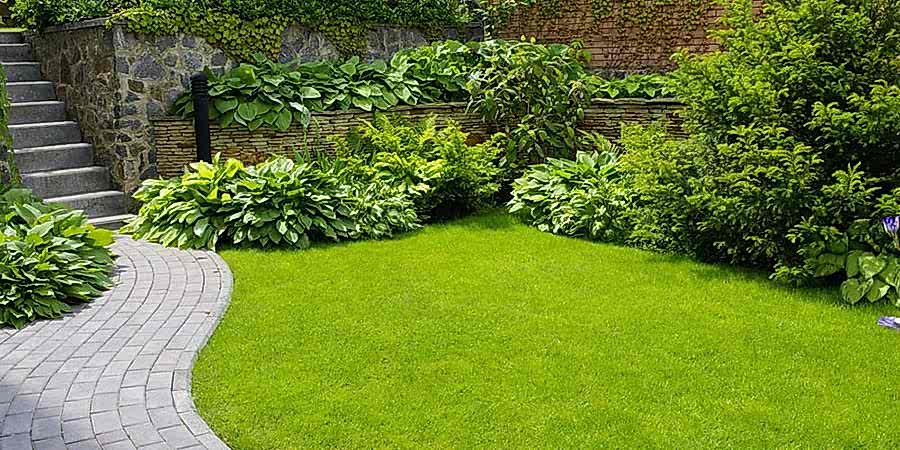 Когда лучше сеять низкорослый газон? Когда лучше сеять низкорослый газон?