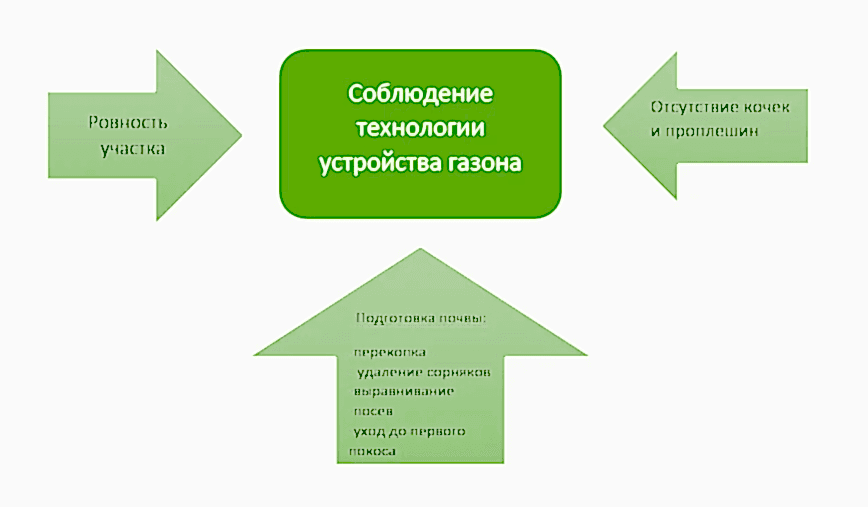parternyy-gazon (4).jpg партерный газон для дачи