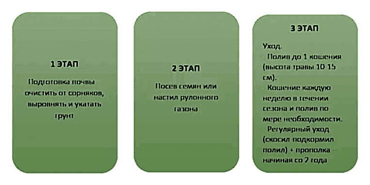 parternyy-gazon (3).jpg укладка партерного газона