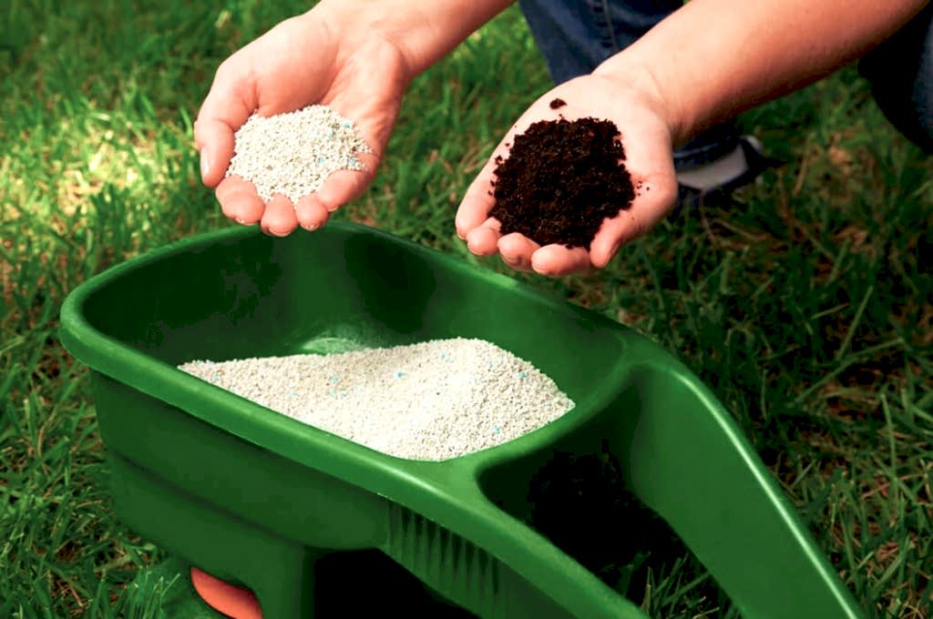 chem-udobryat-gazon (7).jpg чем удобрять газон