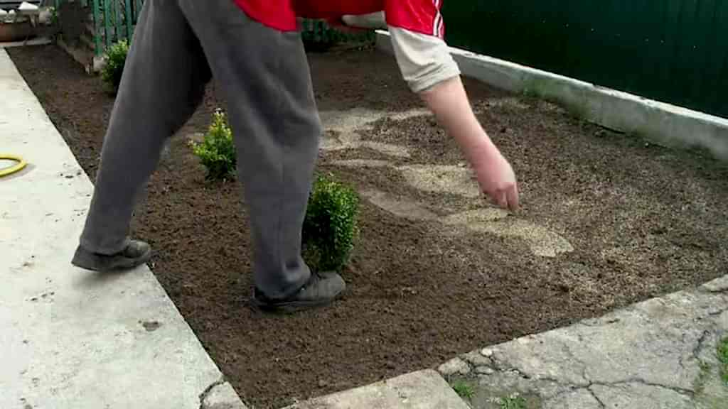 Оптимальные сроки посева семян Оптимальные сроки посева семян