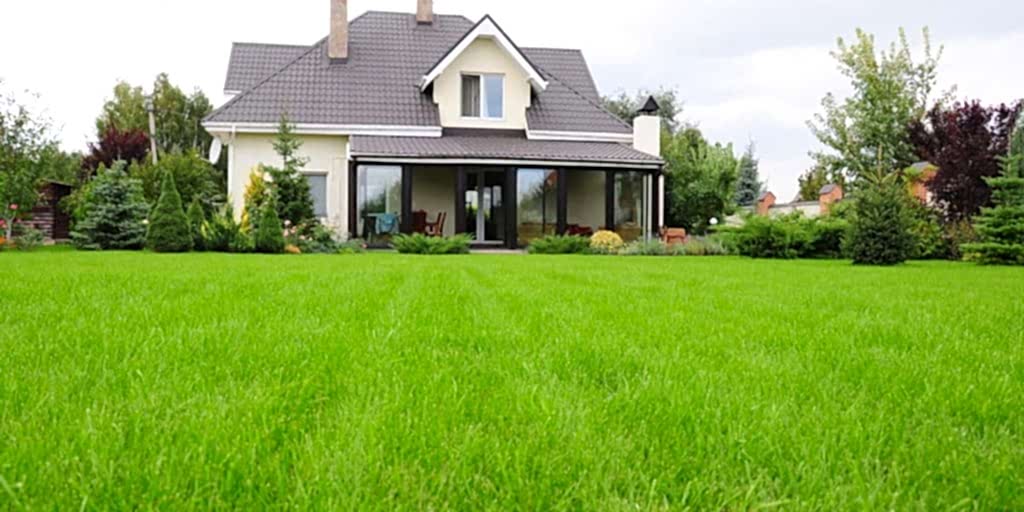 Особенности и нюансы Особенности и нюансы