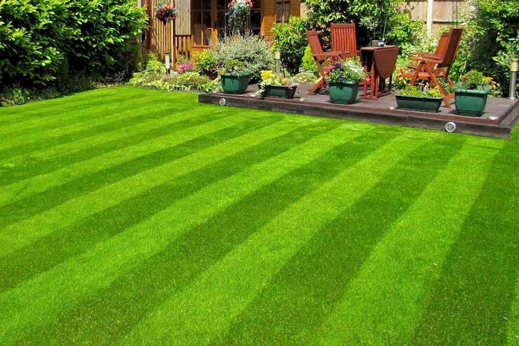 Планирование зеленых зон Планирование зеленых зон