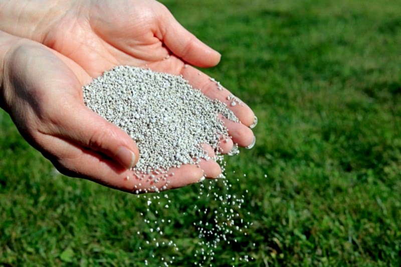 Способы внесения удобрений Способы внесения удобрений