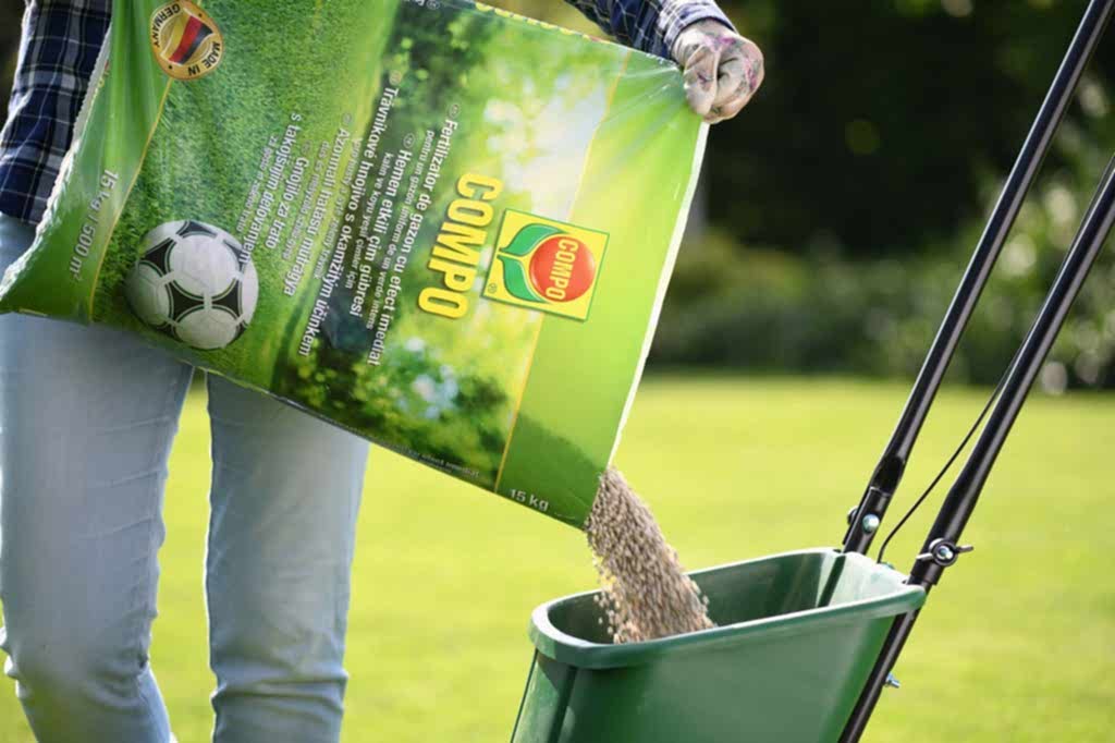 chem-udobryat-gazon (6).jpg удобрение газона